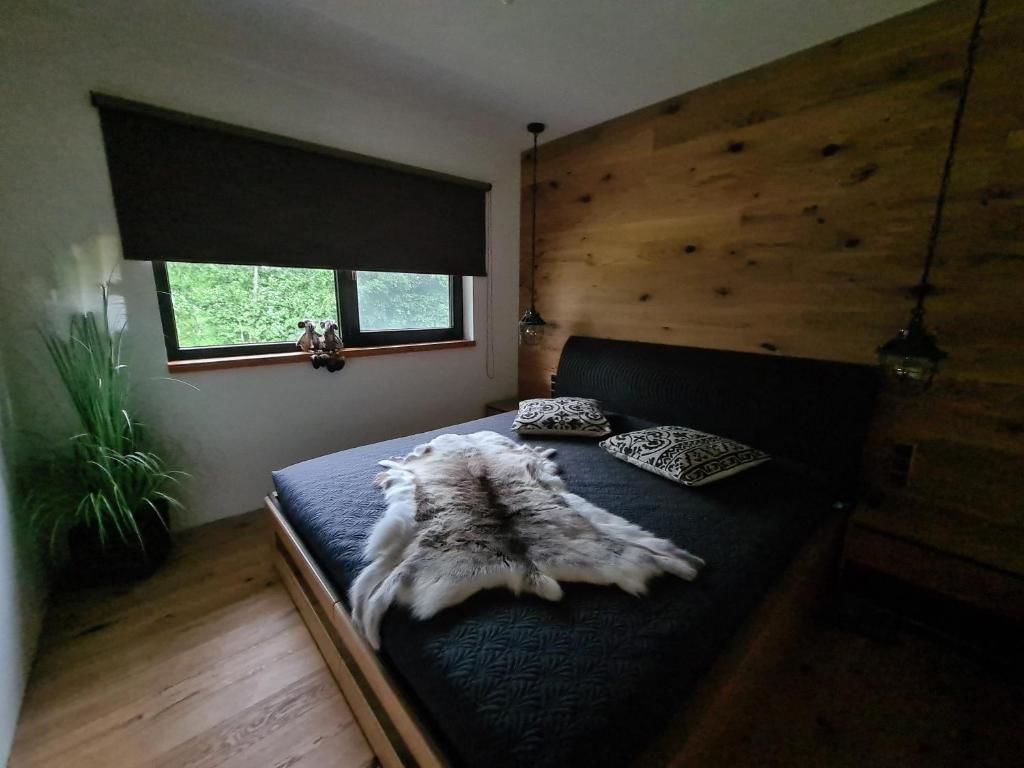 Виллы Pennu Villa Vahtra